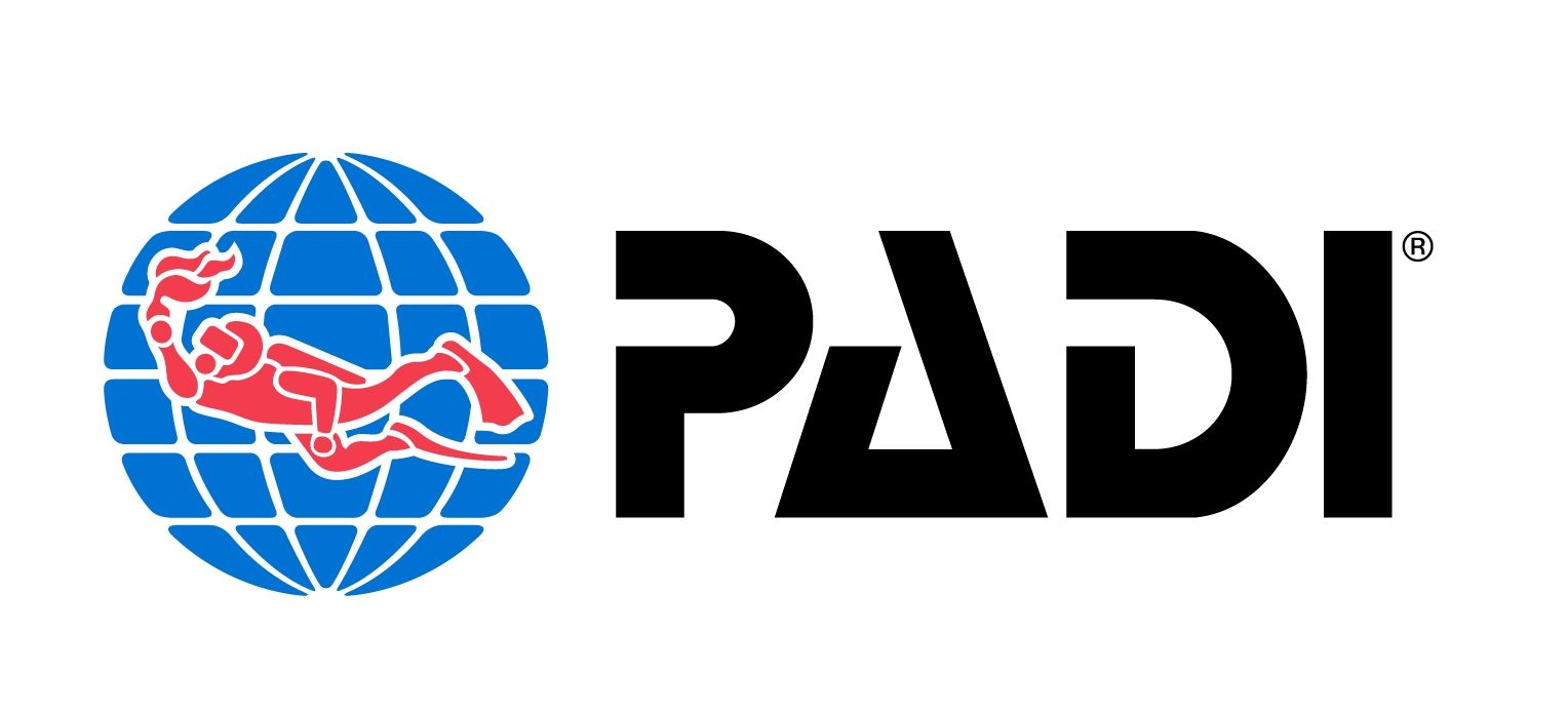 NEW_LOGO_CP_6